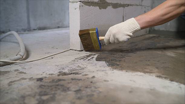 24/7 Emergency Crawl Space Encapsulation experts in Woodland, MI